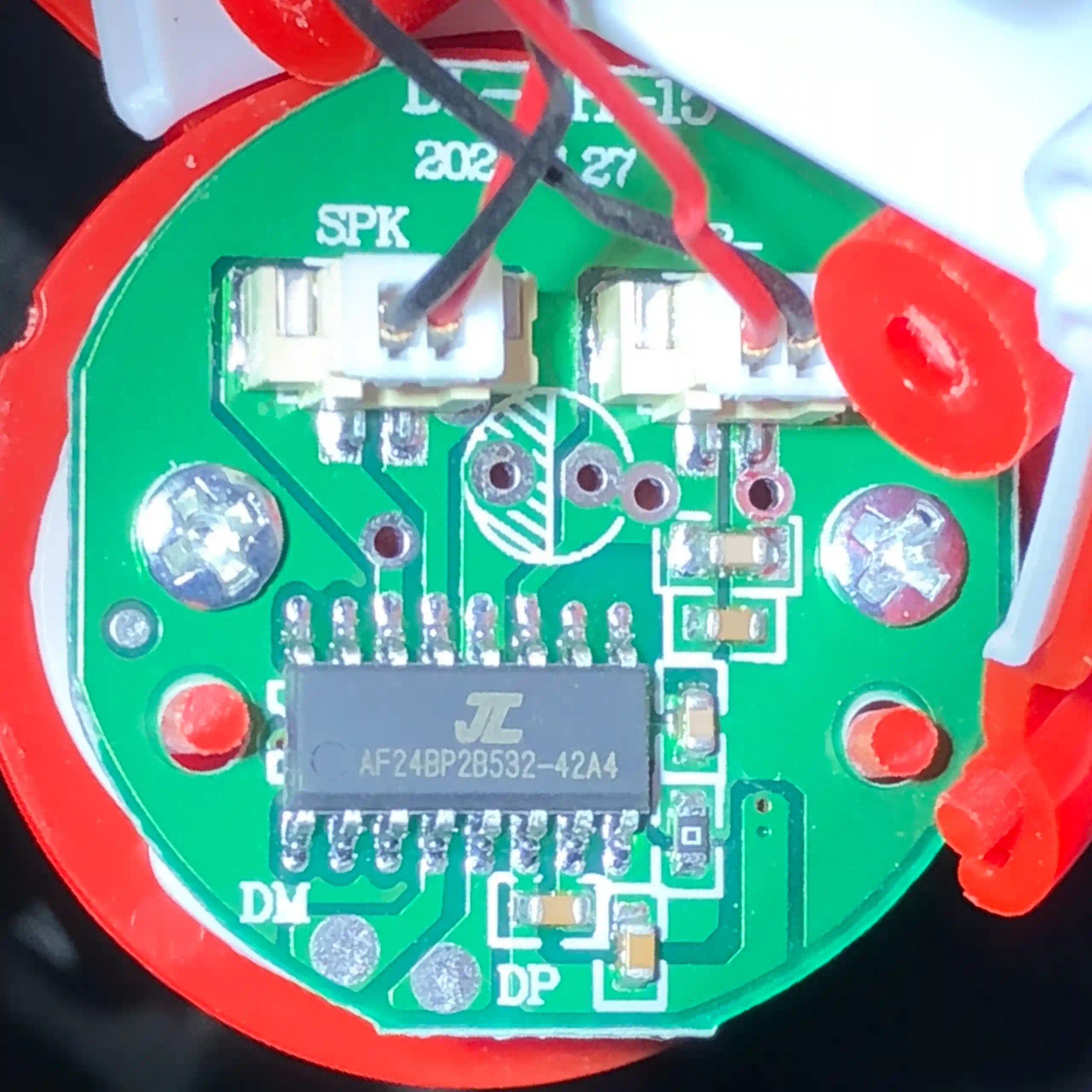 A toy's PCB, which contain the IC